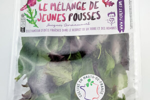 Mélange de jeunes pousses