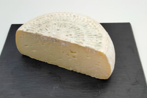 Tomme Saint-Saveur
