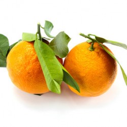 Orange non traitée Newhall