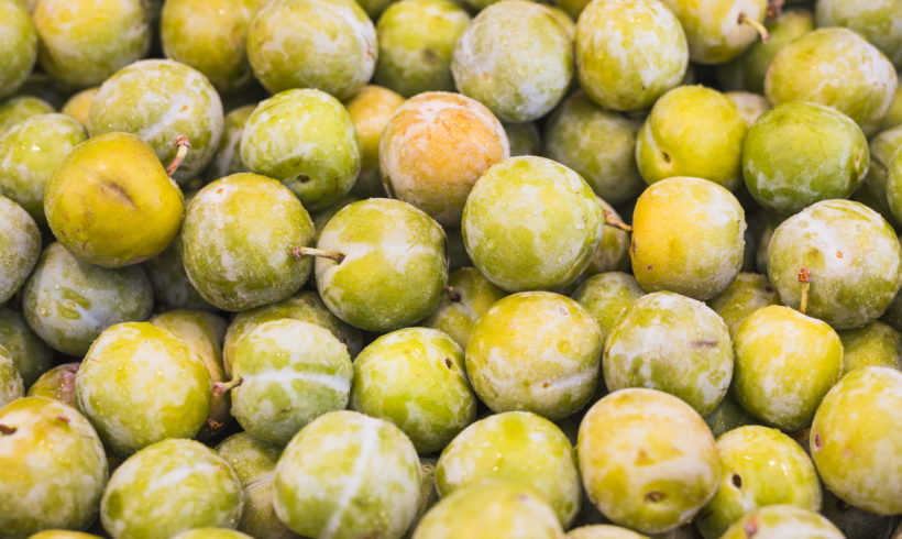 Recette du mois : le clafoutis aux prunes !